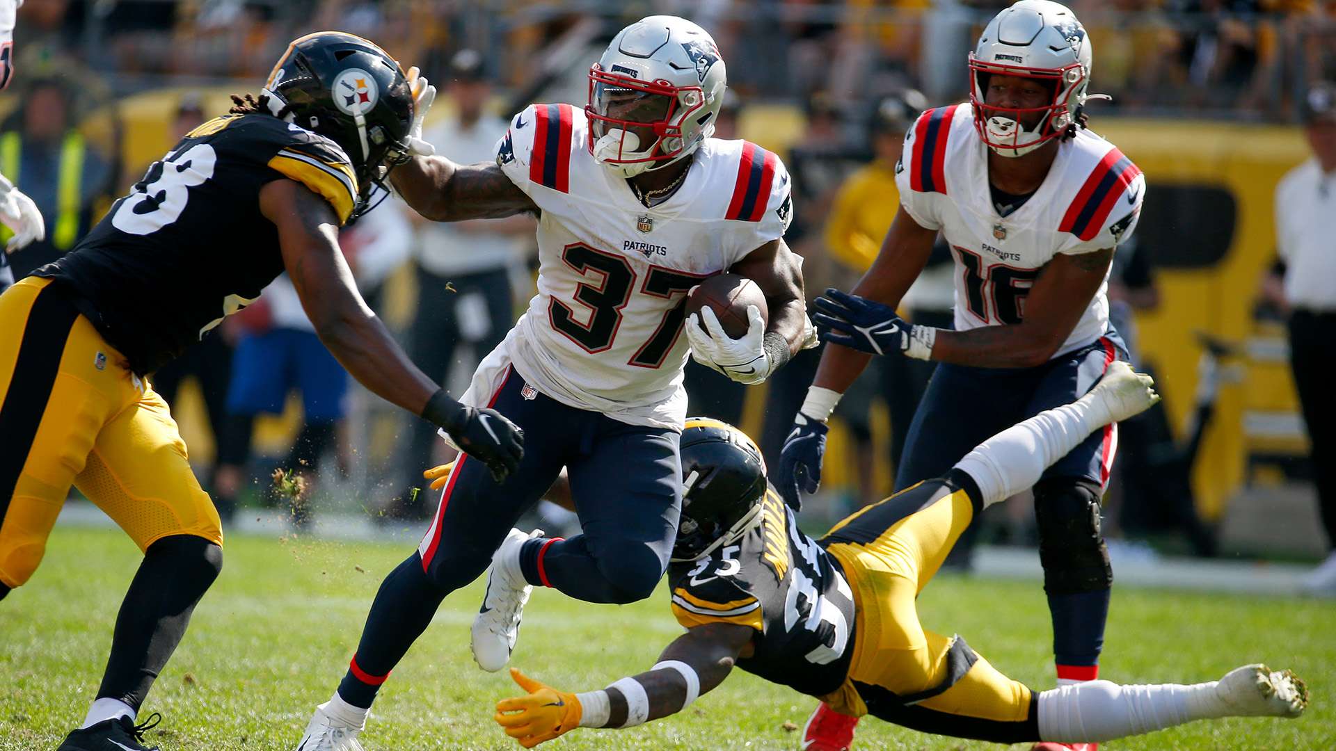 各大球队的 各大球队的