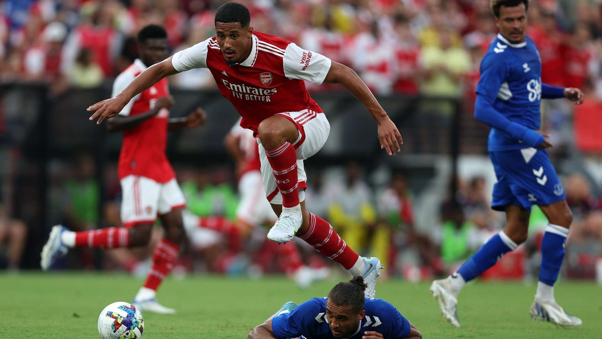 在光鲜的职 在光鲜的职